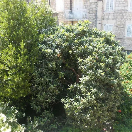 Takoma Hvar Lejlighed
